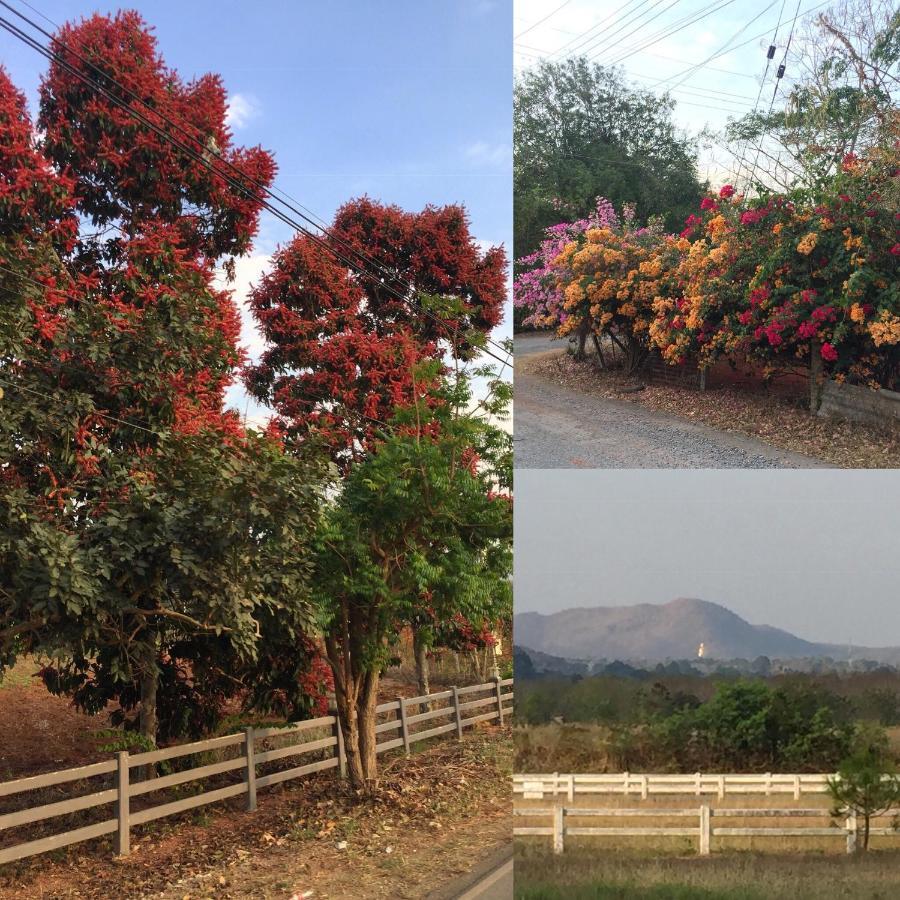 Coombs Cottage, Khaoyai, Mu Si Ban Rai Khlong Sai المظهر الخارجي الصورة